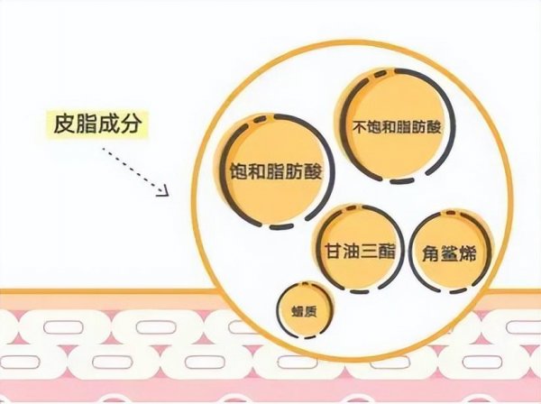 角鲨烯怎么样
