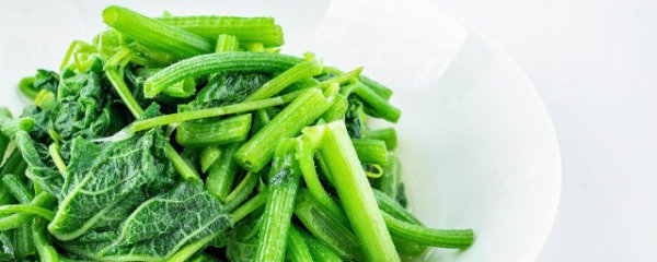 白水煮菜吃饱还能起到减肥么