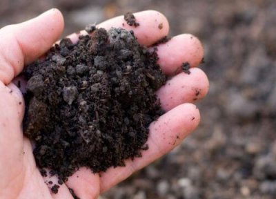 黑土是什么土 黑土属于什么土壤