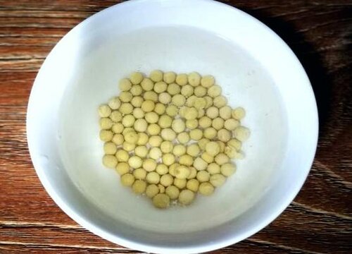 怎么样给花卉盆栽施肥