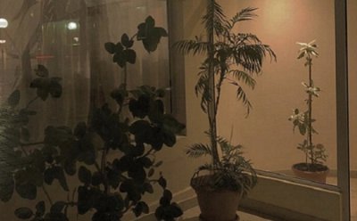 原配打小三 就能挽回老公吗？ 老公已回头小三却纠缠原配怎么做