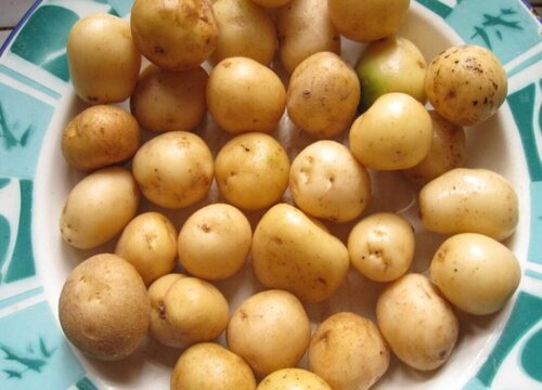 熟土豆可以冷冻保存吗