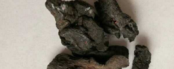 壁虎对女性的好处:介绍壁虎对女性的好处