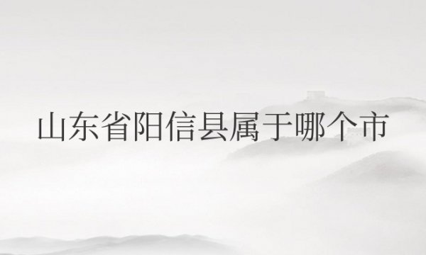 山东省阳信县属于哪个市