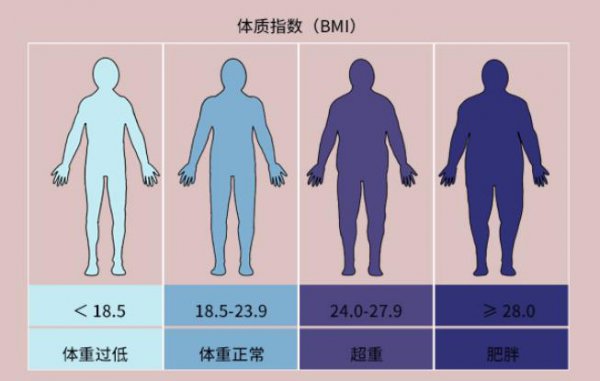 怎么知道女性b