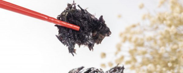 紫菜和紫菜属于发物