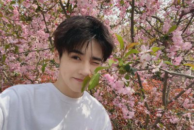 姚景元复读高考分数308分 粉丝劝其去读大专