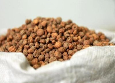 油莎豆的功效与作用 油莎豆的功效与作用及食用方法