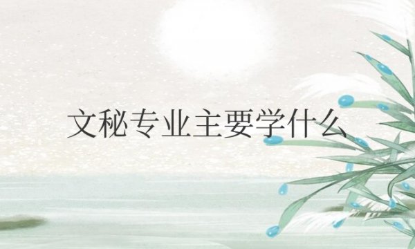 文秘专业主要学什么课程
