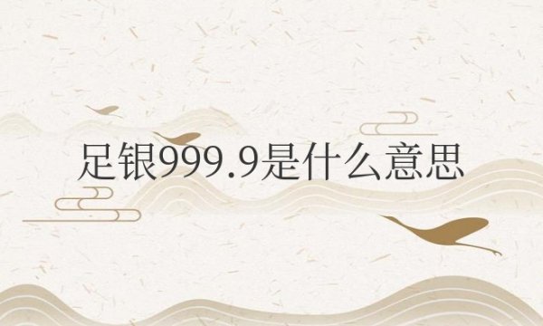 足银999.9是什么意思