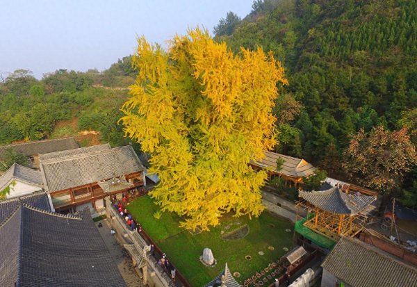 福建36个好玩的地方推荐