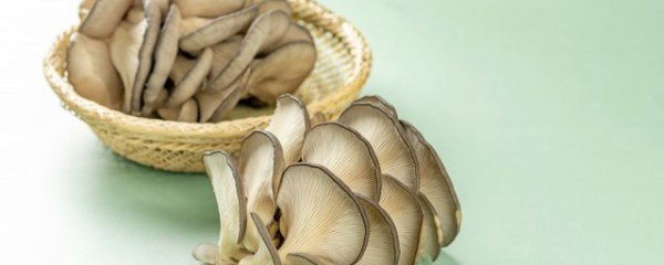 维生素b2的食物有哪些食物有什么