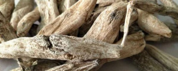 胭脂花根能治妇科病吗