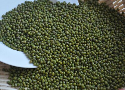 绿豆收获时间 绿豆几月份收获
