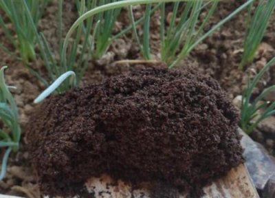 换盆植物怎么处理 养花换盆的废土妙用