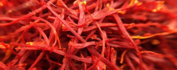 请问藏红花的药用价值是什么