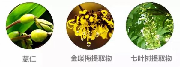 新款奥尔滨健康水如何