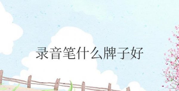视频录音笔什么牌子好