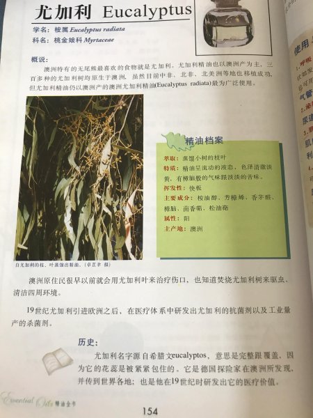 尤加利精油怎么使用