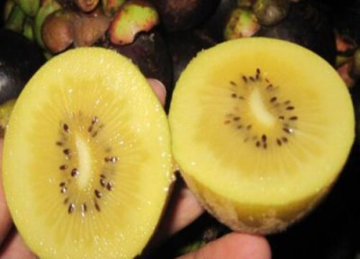 一天吃多少 奇异莓一天吃几个最好