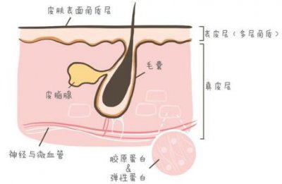 毛孔粗大怎么能改善 毛孔粗大怎么办？如何改善