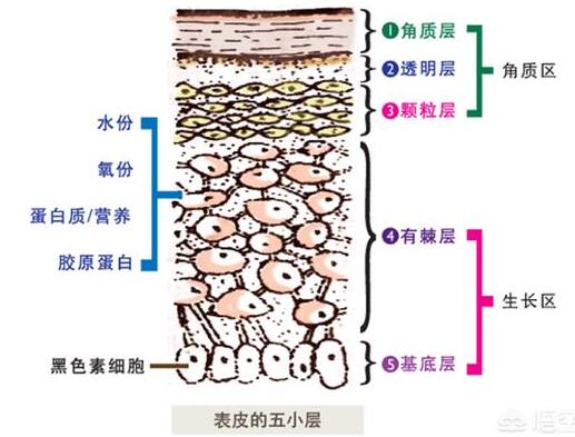 脸上有斑怎样才能祛斑？