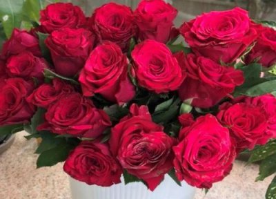 19朵玫瑰花花语和寓意 19朵玫瑰花的花语是什么