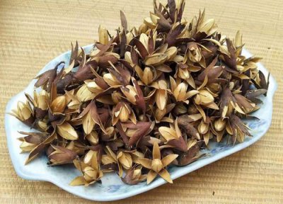 香椿采摘时间 香椿什么时候采摘