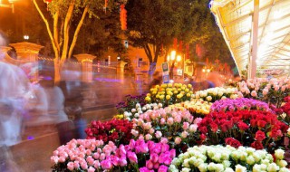 适合送女生的花 适合送女生的花有哪些